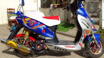 助力車的電瓶是多大的