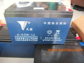 正品超威 天能電池電動車蓄電池電瓶車,正品超威 天能電池電動車蓄電池電瓶車生產廠家,正品超威 天能電池電動車蓄電池電瓶車價格