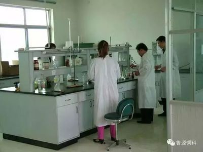《蛋雞福星》預(yù)混料 網(wǎng)絡(luò)直銷助力高效養(yǎng)殖，生物科技引領(lǐng)健康新篇